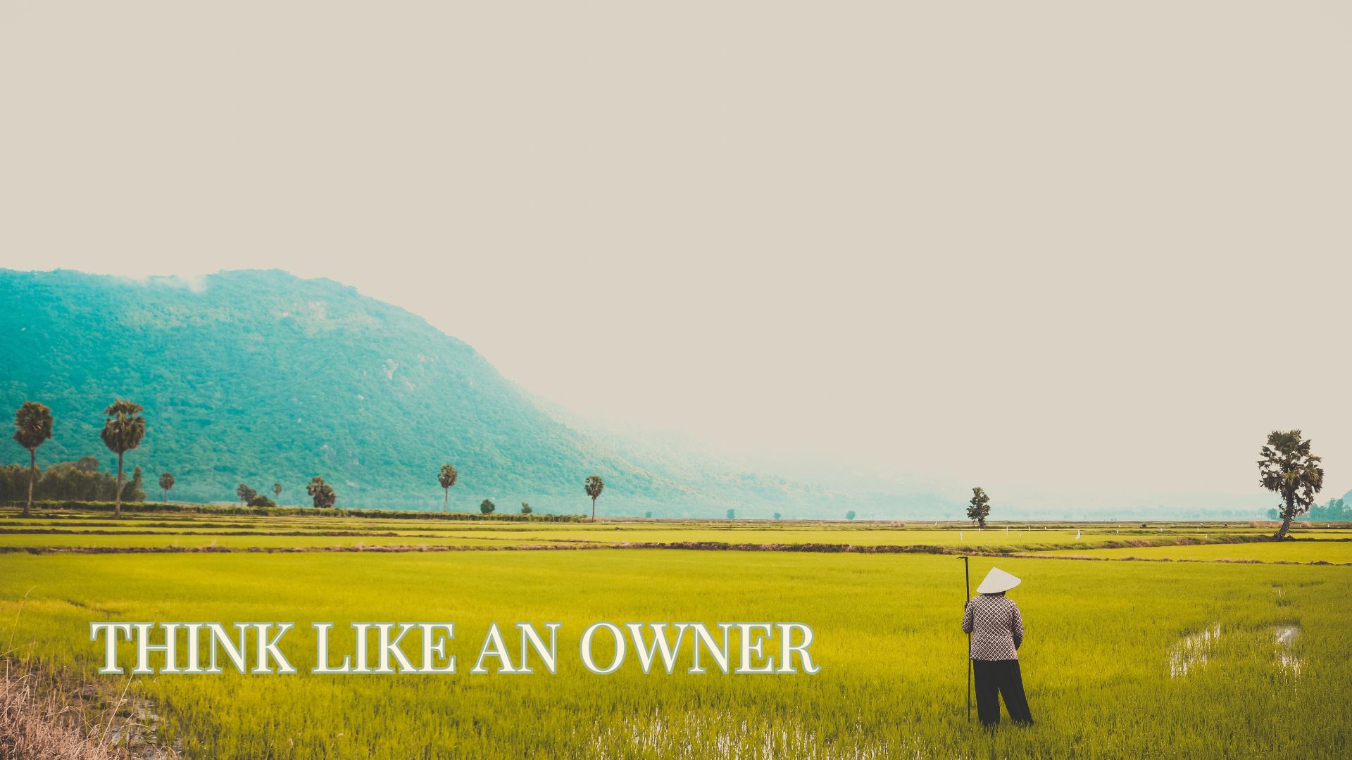 Think like an owner / Alex Sherman